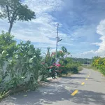 Đất bán Phước Hội Bà Rịa Vũng Tàu 193.6m2 giá 1 tỷ 900 triệu - Ảnh thu nhỏ 3