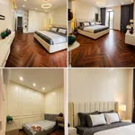 Bán nhà 4 tầng 50m2 mặt đường Tuyến Trang Quan 2, An Đồng, An Dương, giá 3,85 tỷ - Ảnh thu nhỏ 3