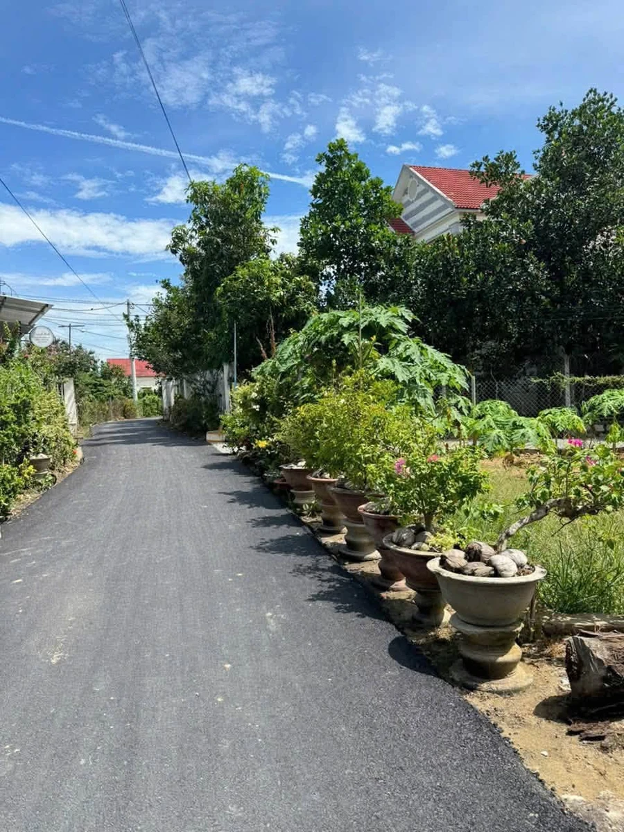 Bán đất Thôn Phước Trạch Diên Toàn 118m² 1 tỷ 320 triệu - Ảnh thu nhỏ 4