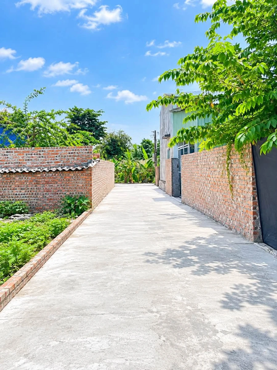 Bán đất 50m² Xích Thổ An Hải, Nhà Bè 950 triệu - Ảnh thu nhỏ 2