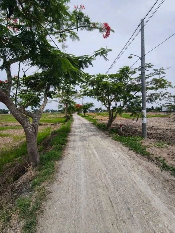 Bán 2 lô đất thổ cư Ao Gòn Cần Dước 5tr/m2