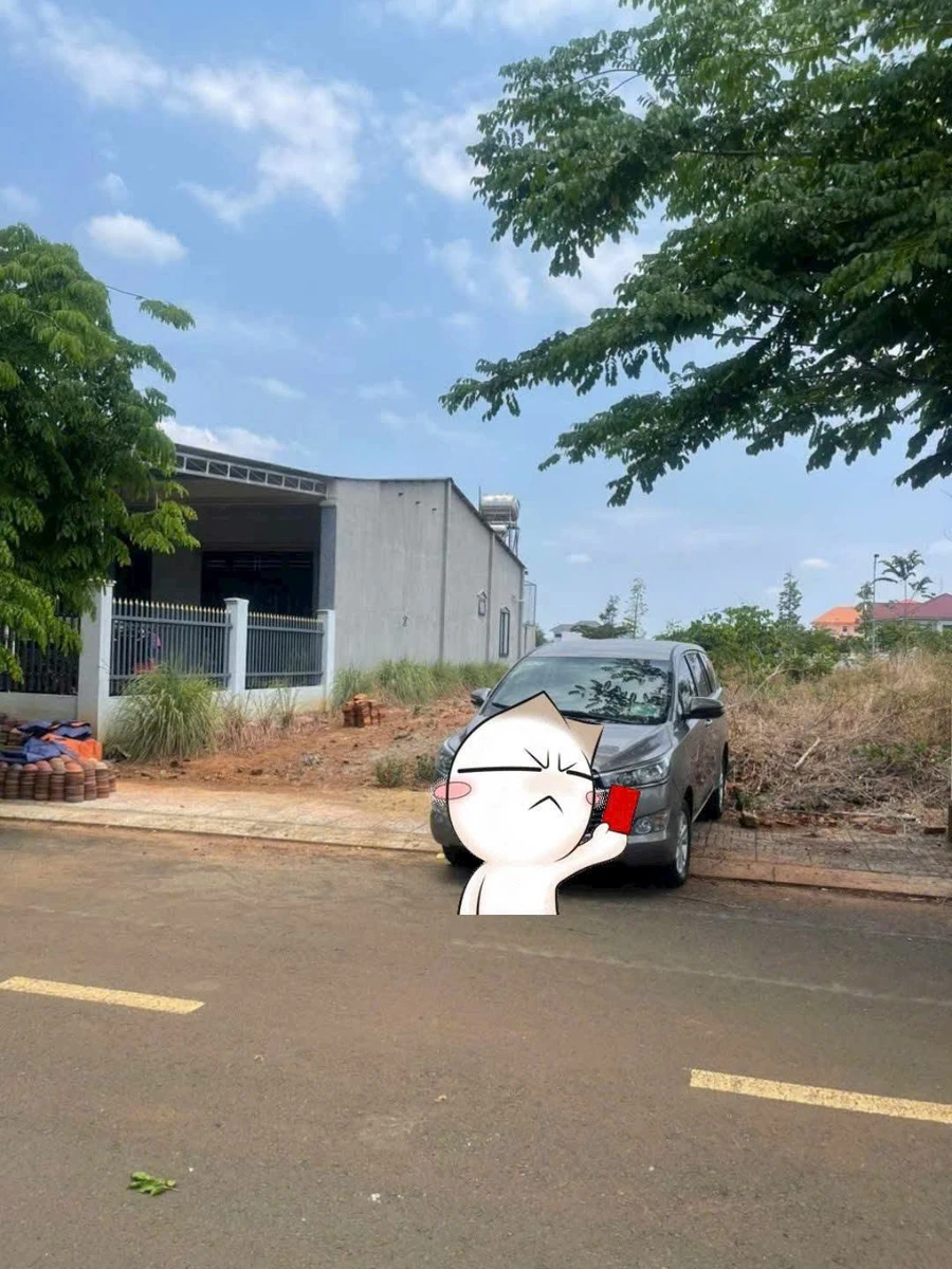 Bán đất xã Phú Riềng 250m² 1 tỷ 3 - Ảnh thu nhỏ 3