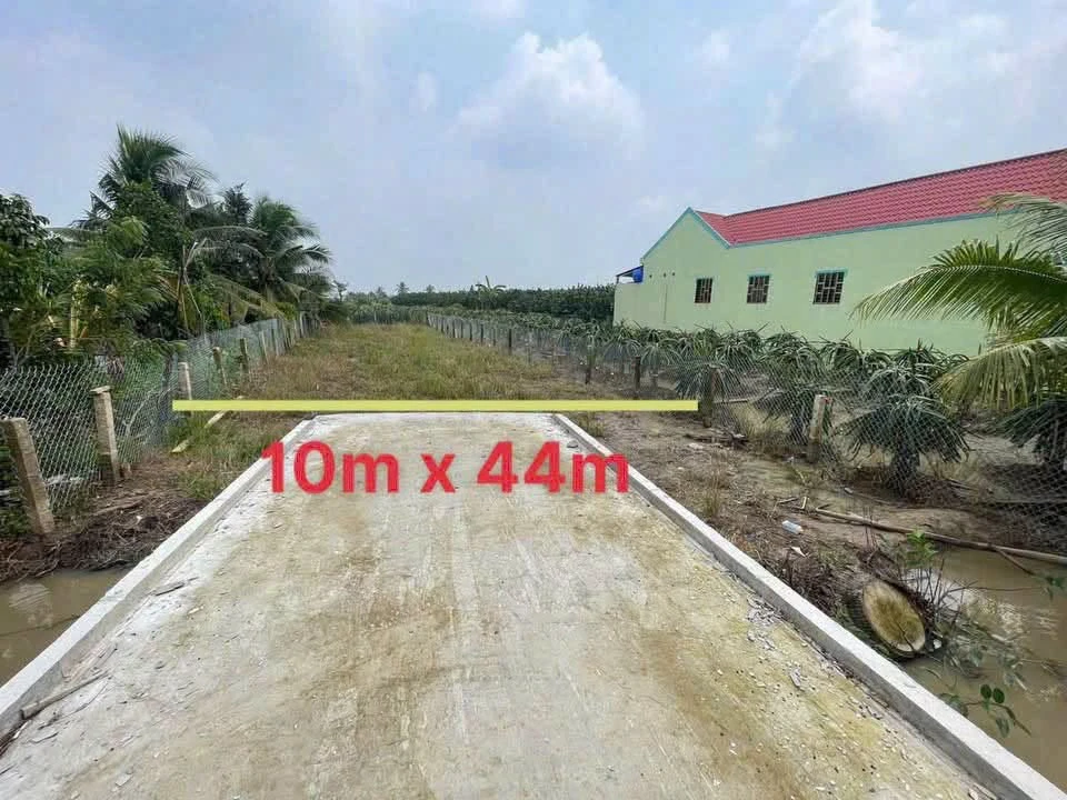 Bán đất thổ cư mặt tiền đường nhựa 10x44m tại xã An Lục Long, Tây Ninh - Ảnh thu nhỏ 2