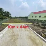 Bán đất thổ cư mặt tiền đường nhựa 10x44m tại xã An Lục Long, Tây Ninh - Ảnh thu nhỏ 2