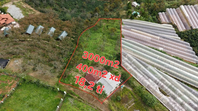 Bán lô đất 3000m² với nhà cấp 4, Xuân Thọ, Bình Dương