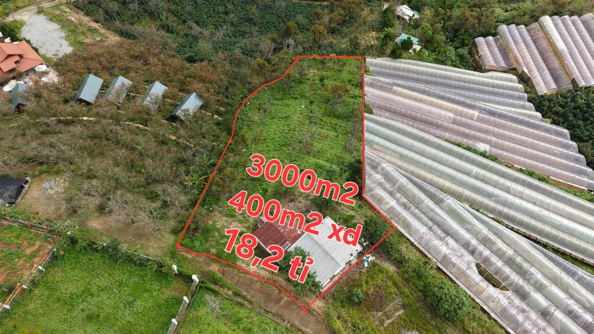 Bán lô đất 3000m² với nhà cấp 4, Xuân Thọ, Bình Dương - Ảnh 1