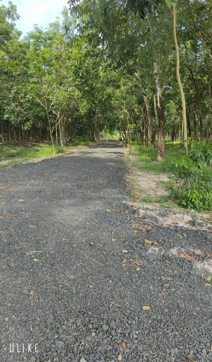 Bán đất vườn 1000m² Phường Bình Minh Tây Ninh 269 triệu - Ảnh thu nhỏ 2