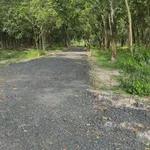 Bán đất vườn 1000m² Phường Bình Minh Tây Ninh 269 triệu - Ảnh thu nhỏ 2