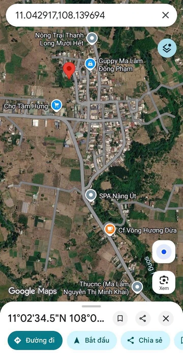 Bán đất thổ cư 620m² thị trấn Ma Lâm, Bình Thuận - Ảnh 1