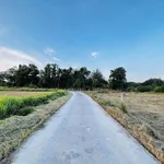 Bán lô đất 1000m2 tại Xã Hàm Liêm, Lâm Đồng - Ảnh thu nhỏ 3