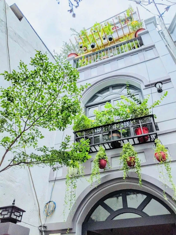 Bán đất nền 250m² Gia Nghĩa 1.3 tỷ mặt tiền Cao Lỗ 1ty330