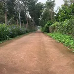 Bán đất 1 mẫu 8 vườn sầu riêng Cẩm Mỹ 11 tỷ - Ảnh thu nhỏ 1