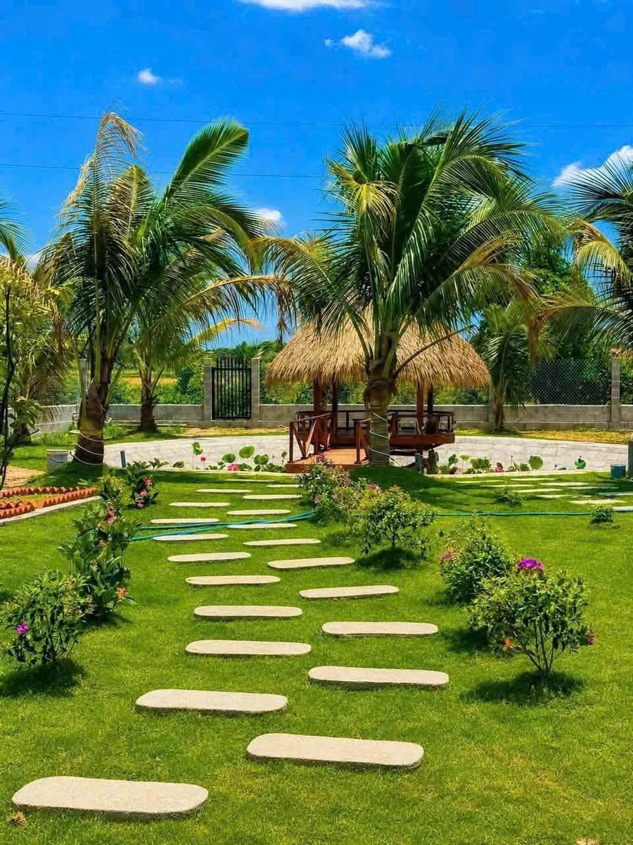 Nhà vườn nghỉ dưỡng 1.600m² Phan Thiết, 1 tỷ 850 triệu - Ảnh thu nhỏ 2