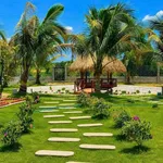 Nhà vườn nghỉ dưỡng 1.600m² Phan Thiết, 1 tỷ 850 triệu - Ảnh thu nhỏ 2