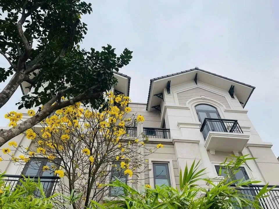 Bán biệt thự 135m² Centa City VSIP Bắc Ninh giá 8,5 tỷ - Ảnh thu nhỏ 3