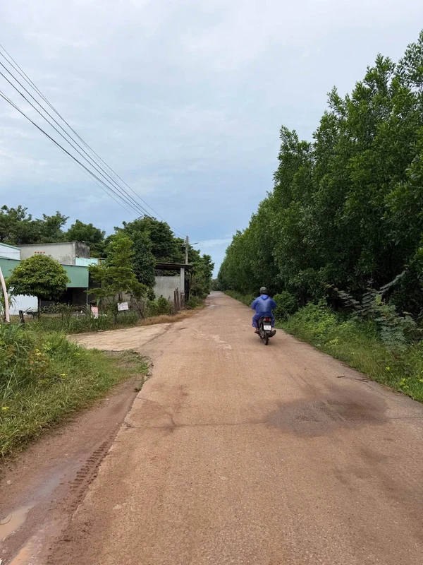 Bán đất Nha Bích 200m2 giá 490 triệu