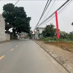 Bán đất 72.5m² gần khu công nghiệp Hải Phòng giá 1 tỷ - Ảnh thu nhỏ 2