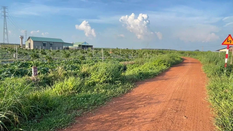 Bán đất trên 500m2 Tây Ninh giá từ 200 triệu