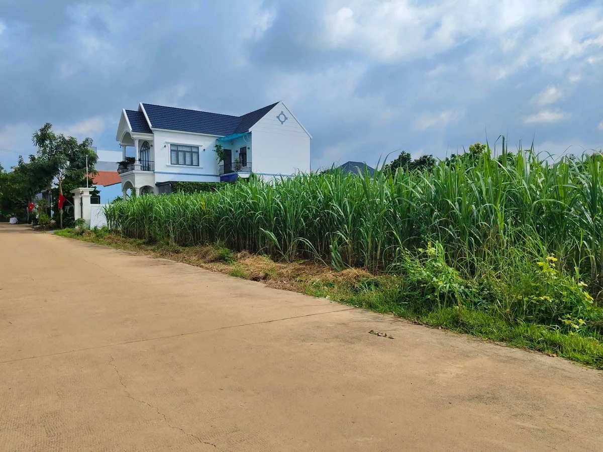 Bán đất Tân Bình 100m² gần Sân Đa Năng 1 tỷ 6 - Ảnh thu nhỏ 3