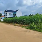 Bán đất Tân Bình 100m² gần Sân Đa Năng 1 tỷ 6 - Ảnh thu nhỏ 3