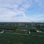 Bán đất đường Bê Tông Hồng Phúc Châu Pha 1.7 tỷ - Ảnh thu nhỏ 1