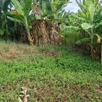 Đất nền liền kề KĐT Phú Quý 150m² Rạch Giá - Ảnh thu nhỏ 3