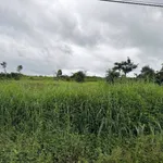 Bán đất 4 sào Đắk Mil 980 triệu - Ảnh thu nhỏ 3
