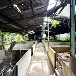 Bán lô đất biệt thự 1.200m² Hố Nai, Bình Dương, 17,5 tỷ - Ảnh thu nhỏ 4