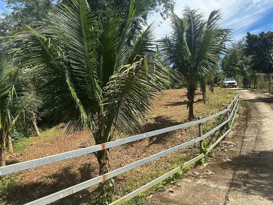 Lô đất 2100m² Suối Tre Long Khánh 1 tỷ 9 - Ảnh thu nhỏ 2