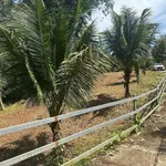 Lô đất 2100m² Suối Tre Long Khánh 1 tỷ 9 - Ảnh thu nhỏ 2