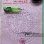Đất full thổ cư - Thái Khang Phước Hạ, Nam Nha Trang * giá chỉ từ 1 tỷ 550 * diện tích: 76m2 - Ảnh thu nhỏ 11