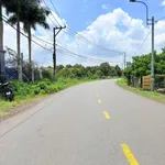 Bán đất thổ cư 135,2m² mặt tiền đường nhựa Suối Chồn, Phường Bảo Vinh, Long Khánh giá 1 tỷ 100 triệu - Ảnh thu nhỏ 3