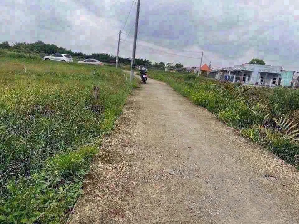 Bán đất 600m² toàn bộ thổ cư Tân Chánh, Cần Đước, Long An 1 tỷ 700 triệu - Ảnh thu nhỏ 3
