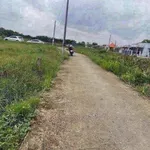 Bán đất 600m² toàn bộ thổ cư Tân Chánh, Cần Đước, Long An 1 tỷ 700 triệu - Ảnh thu nhỏ 3