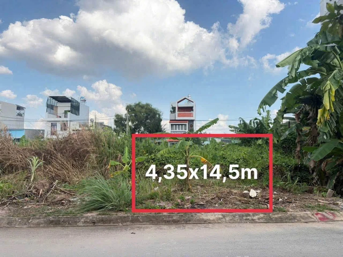 Bán nhà 4 tầng 46m2 hẻm ô tô đường Xô Viết Nghệ Tĩnh, Vũng Tàu 10x51m - Ảnh 1
