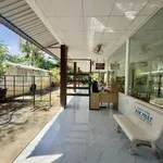 Bán đất Xã Phú Hưng, Bến Tre 745m², 4 tỷ - Ảnh thu nhỏ 5