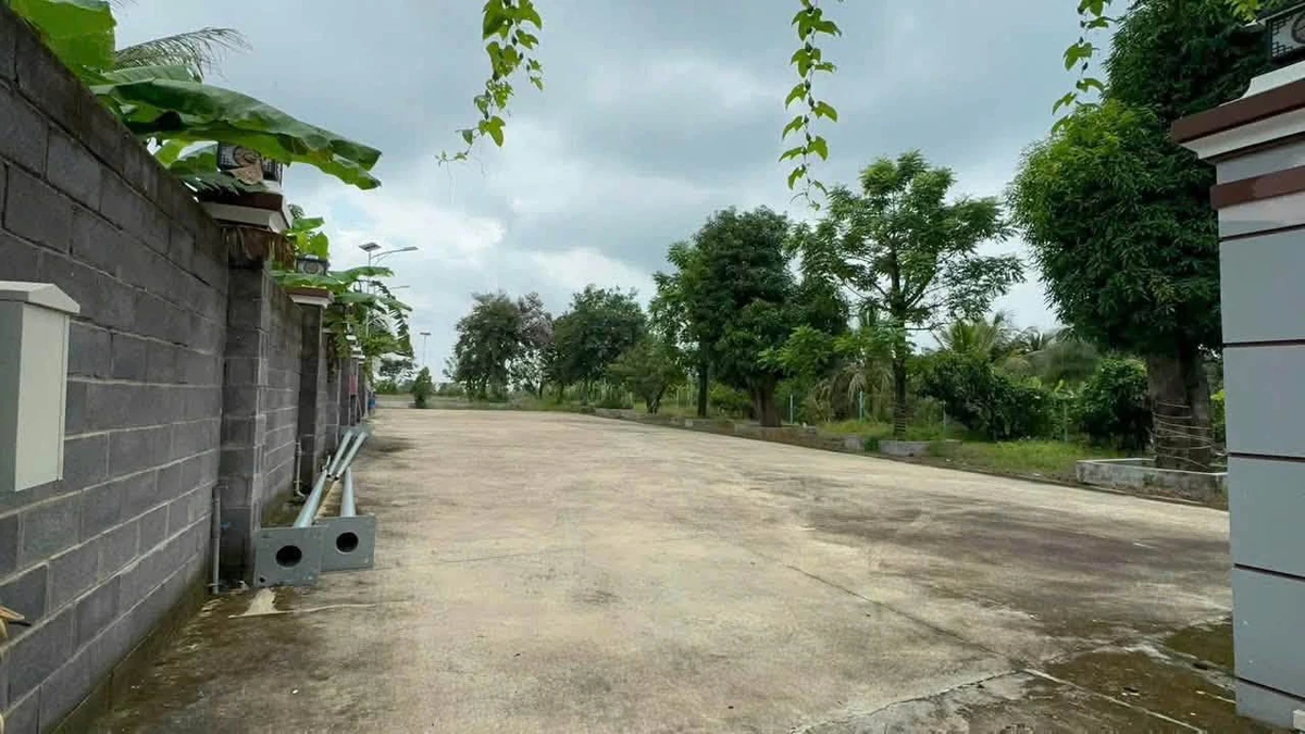 Bán nhà vườn 2.430m² Tân Phú, Đồng Nai 14,5 tỷ - Ảnh thu nhỏ 4