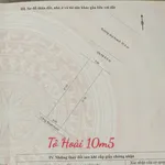 Bán đất Tô Hoài 110m² 5,5 tỷ Thủ Đức - Ảnh thu nhỏ 3