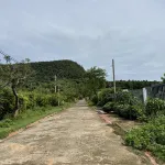 Bán đất 100% thổ cư Búng Gội, 494m2 giá 4.3tỷ, ngang 16.5m view núi đẹp, về sân bay Phú Quốc 20phut - Ảnh thu nhỏ 14