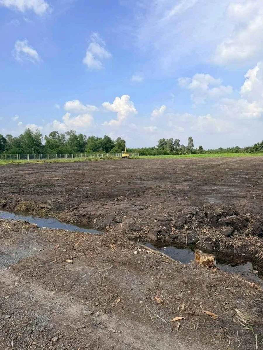 Bán 3.625m² đất vườn có 150m² thổ cư, đường đá xanh xe hơi, Bình Đức, Tây Ninh - Ảnh thu nhỏ 2
