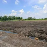 Bán 3.625m² đất vườn có 150m² thổ cư, đường đá xanh xe hơi, Bình Đức, Tây Ninh - Ảnh thu nhỏ 2