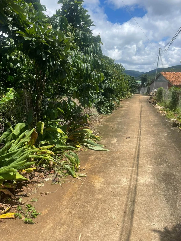 Bán đất 3.2 sào có 400m² thổ cư, có nhà ở sẵn, mặt tiền 40m tại Mê Linh, Lâm Hà, Lâm Đồng