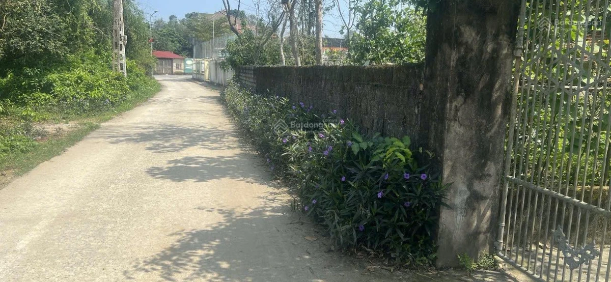 Chính chủ bán đất Nghi Lộc Nghệ An, 7x33m - Ảnh thu nhỏ 3