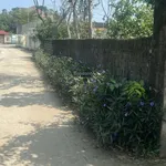 Chính chủ bán đất Nghi Lộc Nghệ An, 7x33m - Ảnh thu nhỏ 3
