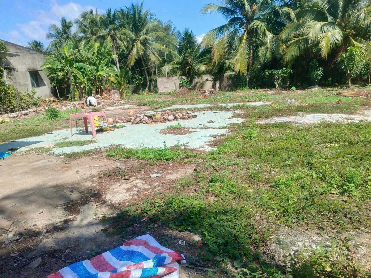 Bán đất MT Thành Sang 445m2, KCN Giao Long 1,25 tỷ - Ảnh thu nhỏ 4