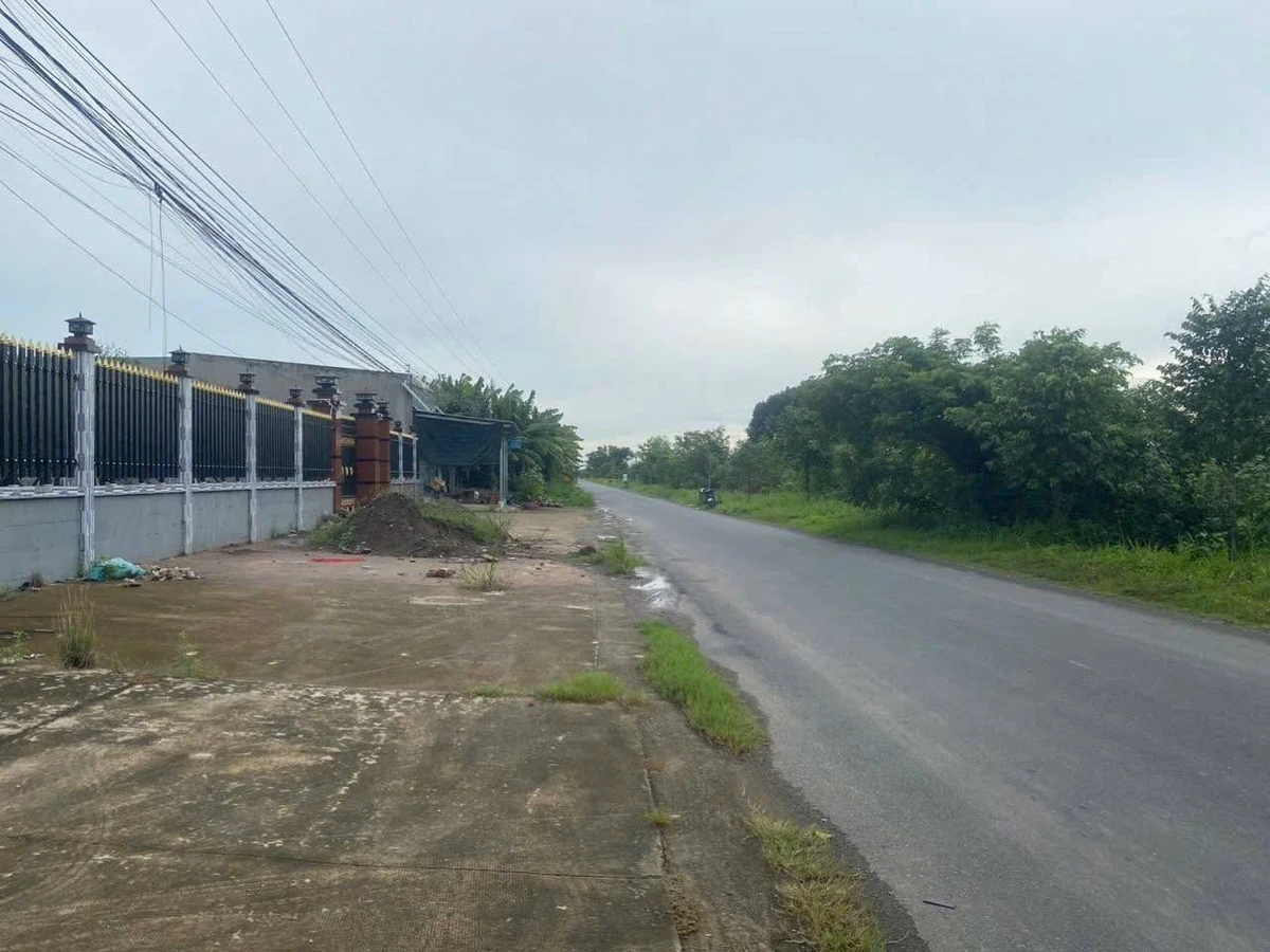 Bán biệt thự 2000m² Bến Lức Long An, giá 15,95 tỷ - Ảnh thu nhỏ 3