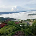 Chính chủ bán biệt thự cổ 2692m2 view săn mây siêu siêu đẹp tại Trạm Hành - Đà Lạt - Ảnh thu nhỏ 16