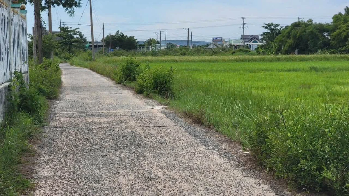 Bán đất thổ cư 100m² Quốc Lộ 28 Hàm Liêm 500 triệu - Ảnh thu nhỏ 2