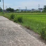 Bán đất thổ cư 100m² Quốc Lộ 28 Hàm Liêm 500 triệu - Ảnh thu nhỏ 2