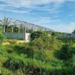 Bán đất mặt tiền Sơn Hòa 382m², Bến Tre, 2.2 tỷ - Ảnh thu nhỏ 3